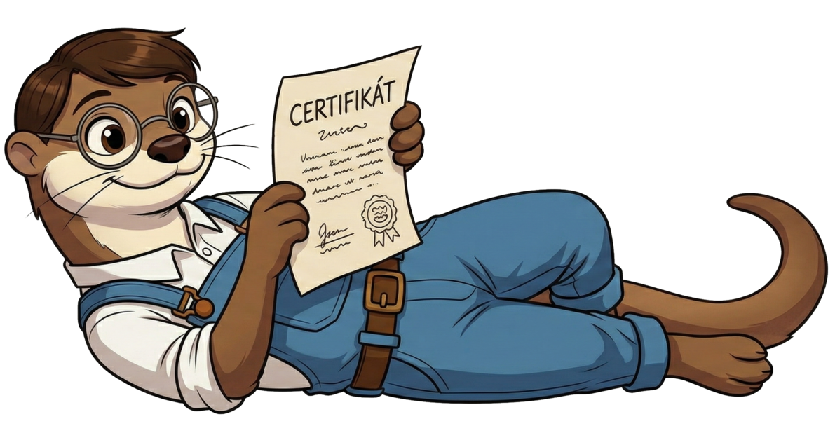 Detail certifikátu – ilustrační